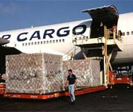 Air Freight Forwarding Services